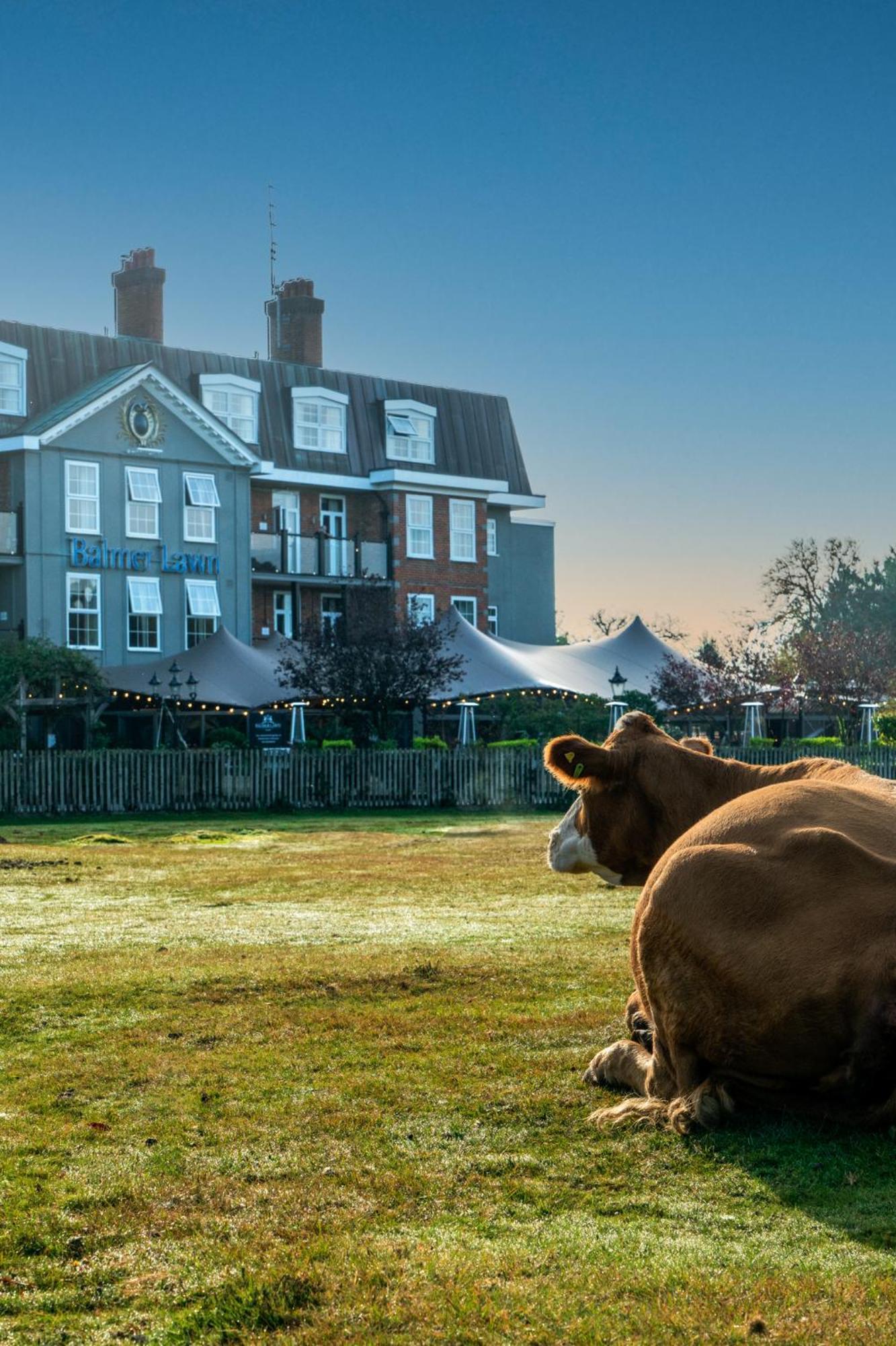 Balmer Lawn Brockenhurst Dış mekan fotoğraf