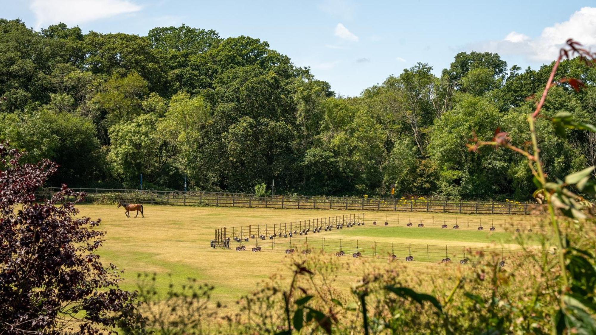 Balmer Lawn Brockenhurst Dış mekan fotoğraf