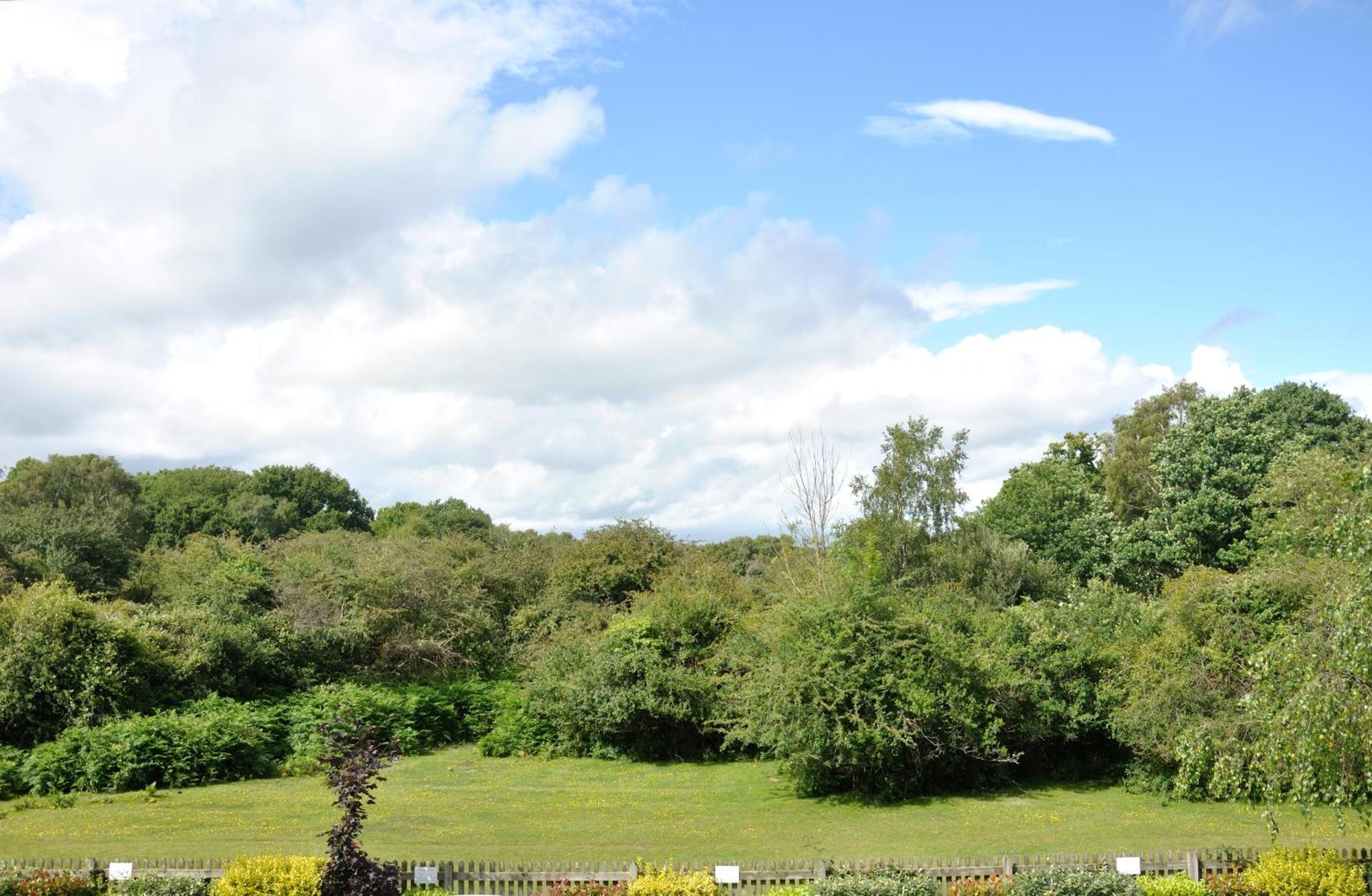 Balmer Lawn Brockenhurst Dış mekan fotoğraf